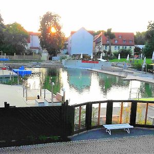 Willa Ferienhaus Strauss Nahe Der Kyffhaeuser Therme Bad Frankenhausen Exterior photo