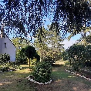 Gite Le Vieux Moulin Saint-Dyé-sur-Loire Exterior photo