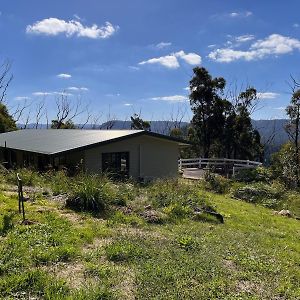 Willa Mountain Tranquility Mount Tomah Exterior photo