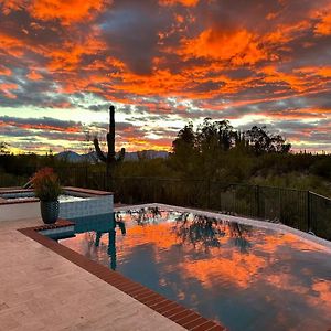 Willa The Owl House Tucson Exterior photo