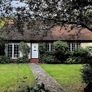 Picturesque 4 Bed Cottage Lingfield, Surrey Felbridge Exterior photo