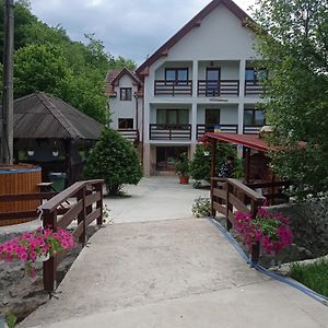 Hotel Pensiunea Valea Toplitei Rosia Exterior photo