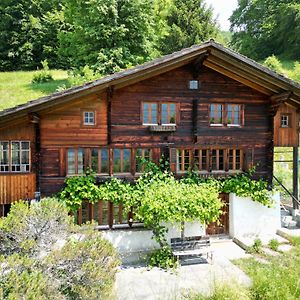 Apartament Meieli'S Chalet Hofstetten bei Brienz Exterior photo