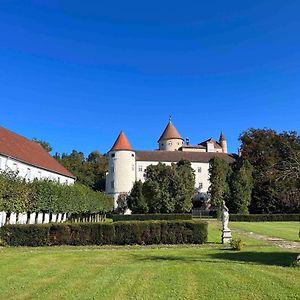 Willa Charming Castle In Austria Schwertberg Exterior photo