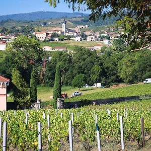 Willa Gite De La Vieille Vigne Fleurie Exterior photo