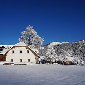 Apartament Ferien Am Land - Waldbauer Rossleithen Exterior photo