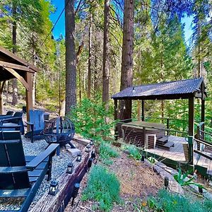 Willa Cabin In The Trees - Hot Tub Pollock Pines Exterior photo