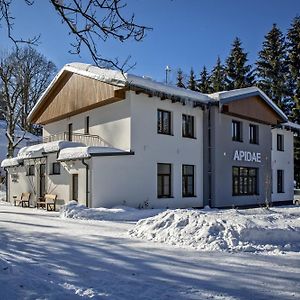 Hotel Penzion Apidae Desztne w Górach Orlickich Exterior photo