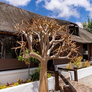 Kleinplasie Guesthouse Springbok Exterior photo