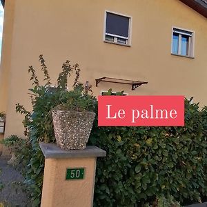 Hotel Le Palme Monteceneri Exterior photo