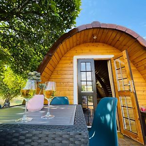 Pensjonat The Gold Pod, Relax And Enjoy On A Glamping House Corredoura Exterior photo