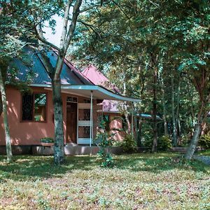 Charming Bungalows Mwanza Exterior photo