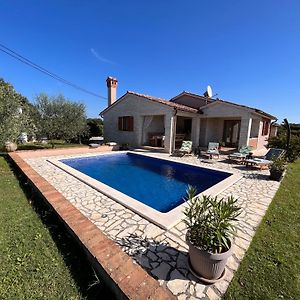 Villa Mirela With A Comfortable Garden And Pool Grandici Exterior photo