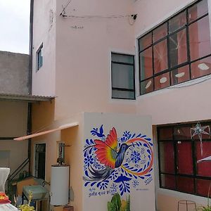 Willa Casa El Colibri Cec Tehuacán Exterior photo