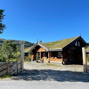 Willa Solsetra - Mountain Majesty Family Log Cabin Hovden  Exterior photo