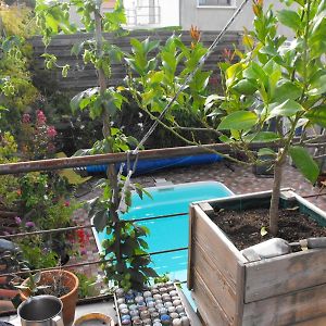 Maison De Ville Terrasse Piscine Jardin Niort Exterior photo