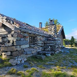 Willa Hytte I Hallingdal/Flå Exterior photo