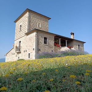 Willa Agriturismo Torre Gialluise Gesualdo Exterior photo