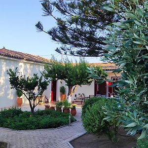 Mediterranean House With Beautiful Garden Neo Karlowasi Exterior photo