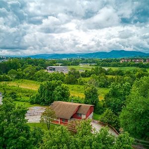 Willa Apple Valley Hideaway Pigeon Forge Exterior photo