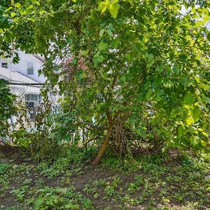 Kingston Crawfish Cottage Near Catskills! Exterior photo