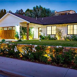 Willa Dreaming Amongst The Palms Mission Viejo Exterior photo