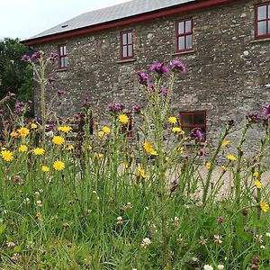 Willa The Old Mill, Kilcorkey, Bellanagare, Castlerea, County Roscommon - West Of Ireland -House 1 Exterior photo