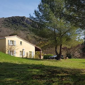 Willa Maisons Situees Dans Le Vaste Domaine De L'Espinet Quillan Exterior photo