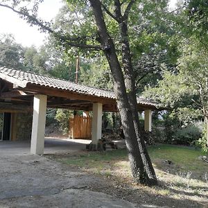 Apartament L'Atelier En Cevennes - Logement 55M2 Deaux Exterior photo