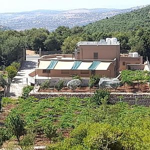 Apartament Wild Strawberry Farm Ajloun مزرعة القيقب عجلون Ishtafayna Exterior photo