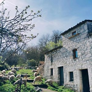 Willa Ferme De Lacassagne Vazerac Exterior photo