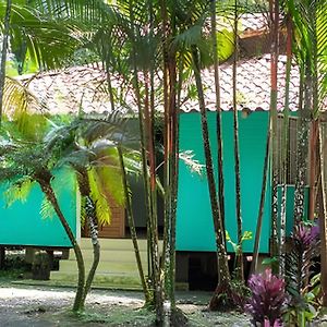 Willa Jungle Dreamz Manzanillo  Exterior photo