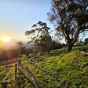 Willa Rose Hill By Tiny Away Neerim South Exterior photo