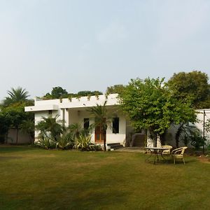Luxury Villa With Swimming Pool Dźajpur Exterior photo