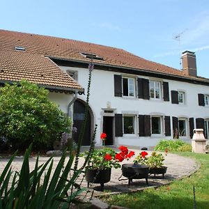 Bed and Breakfast Chambre D'Hotes Kieffer Le Grand Bienfaisy Remiremont Exterior photo