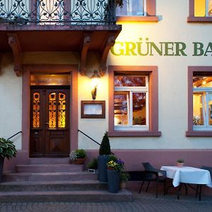 Hotel & Restaurant Gruener Baum Merzhausen Fryburg Bryzgowijski Exterior photo