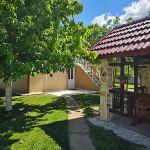 Apartament Calm Nest Nikšić Exterior photo