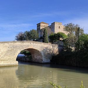 Bed and Breakfast Gite Et Chambre D'Hote Entre Tilleul Et Agrumes Vinassan Exterior photo