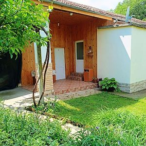 Divna Guest House Kruszuna Exterior photo