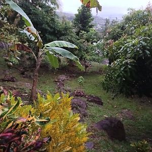 Martinique La Petite Maison Dans La Colline Le Lamentin Exterior photo