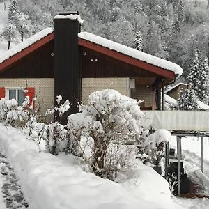 Willa Cozy House Above Lake Lucerne In Car-Free Vitznau Mittlerschwanden At Mount Rigi Railway Exterior photo