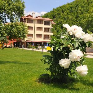 Family Hotel Delta Ognianowo Exterior photo