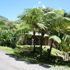 Hotel Natty Tropical Valley Roseau Exterior photo