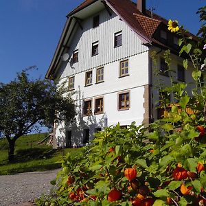 Hotel Fehrenbacherhof Naturgaestehaus Lauterbach  Exterior photo