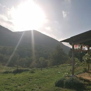 Willa Bright Loft With Mountain And Nature View Sougraigne Exterior photo