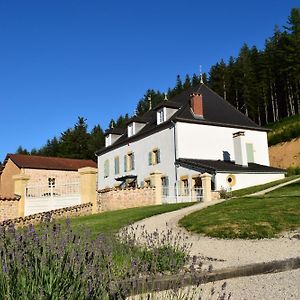 Hotel Le Domaine De La Source Chauffailles Exterior photo