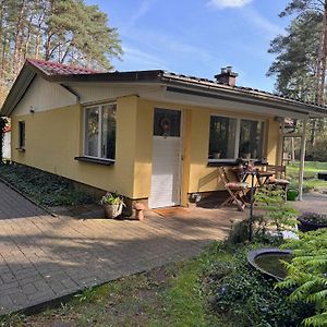 Willa Ferienhaus Im Wald Borkwalde Exterior photo