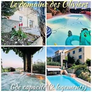 Apartament Le Domaine Des Oliviers Ales Piscine Jacuzzi Sauna Exterior photo