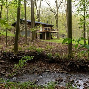 Willa Secluded Naples Cabin With Deck And Stream Views Exterior photo