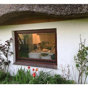 The Little Thatched Cottage Groven Exterior photo